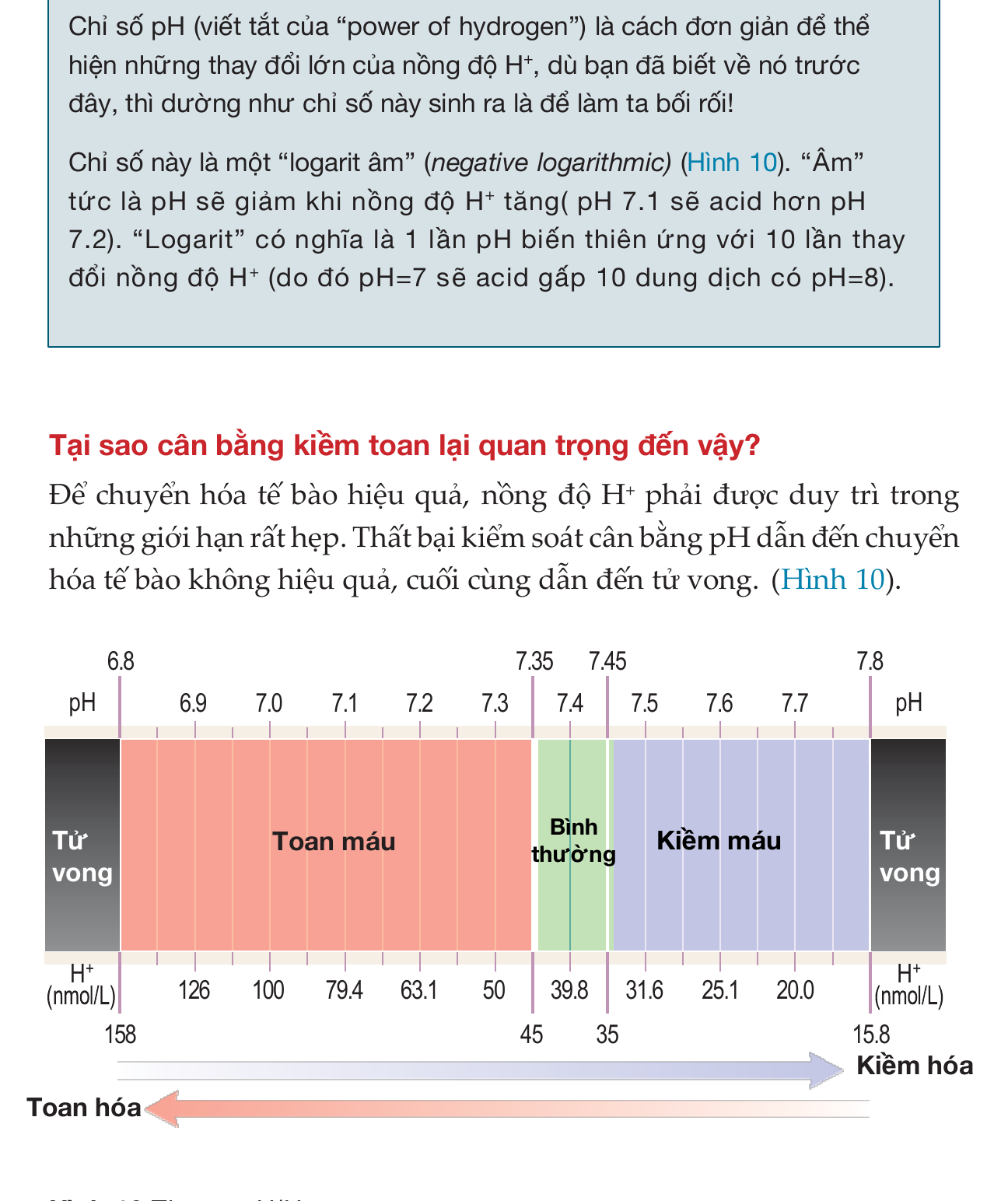 Thang pH và nồng độ ion hydro H⁺ cho thấy quan hệ nghịch và theo thang logarithm.