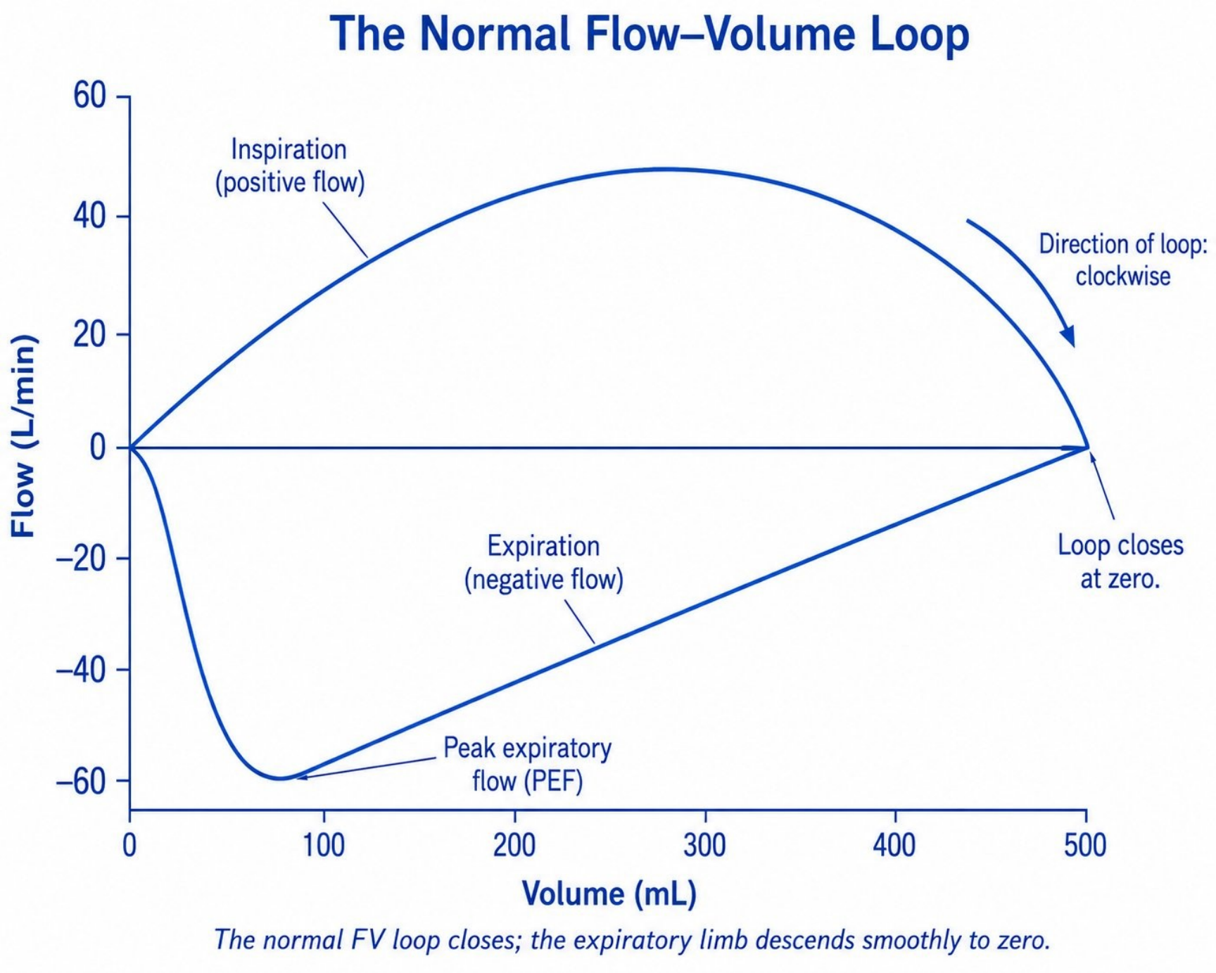 Hình MVG-F10-01. Vòng lưu lượng–thể tích bình thường. Nguồn: Mastering Ventilator Graphics, trang PDF 48.