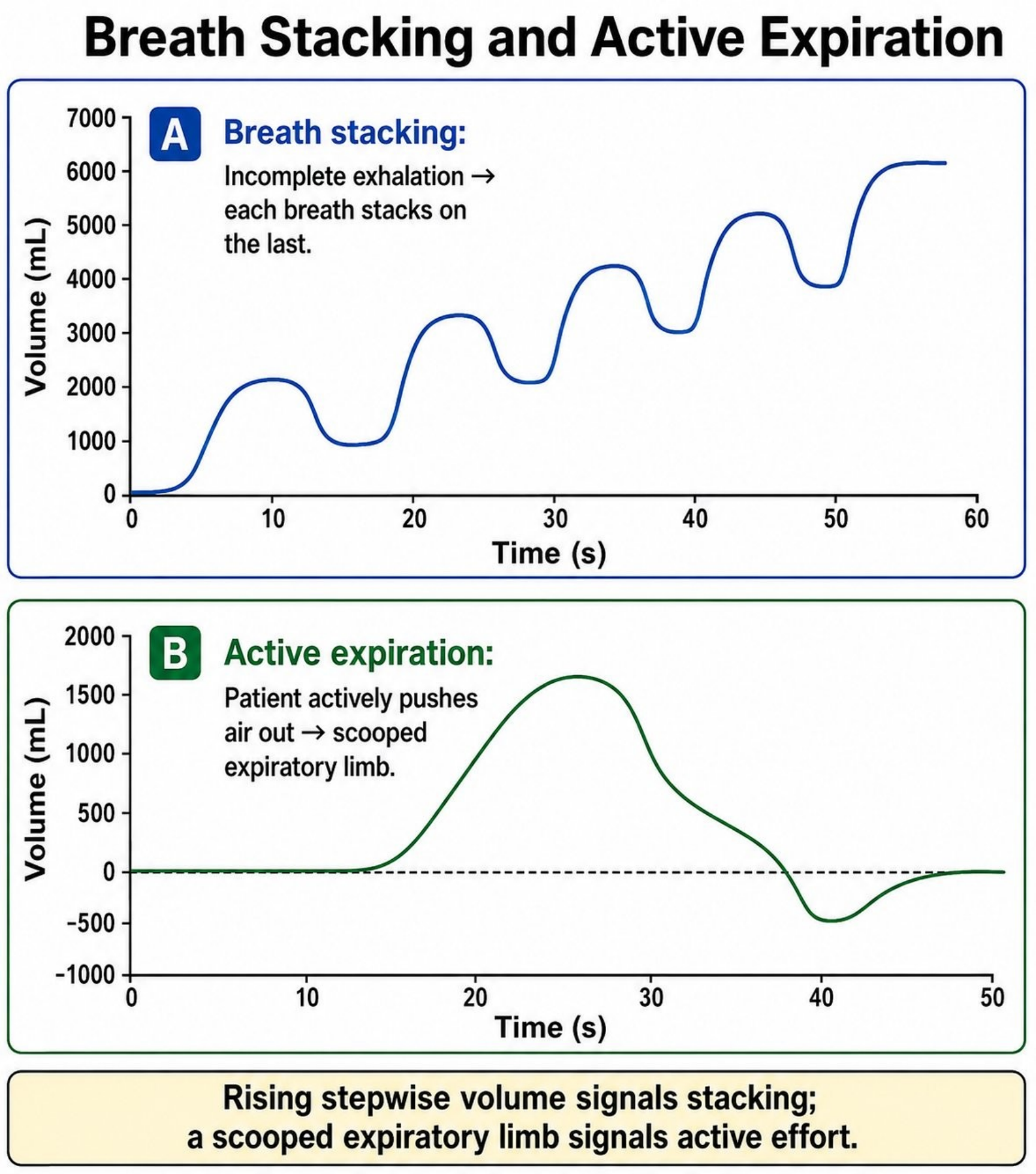 Hình MVG-F08-03. Breath stacking so với thở ra chủ động trên sóng thể tích. Nguồn: Mastering Ventilator Graphics, trang PDF 38.
